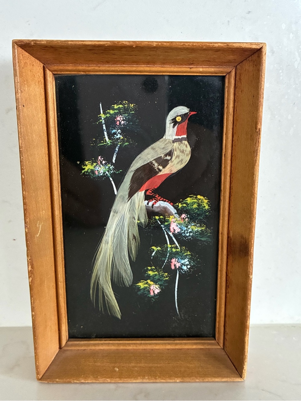 Vintage Mexican feather folk art featuring a hand-painted bird w real feathers